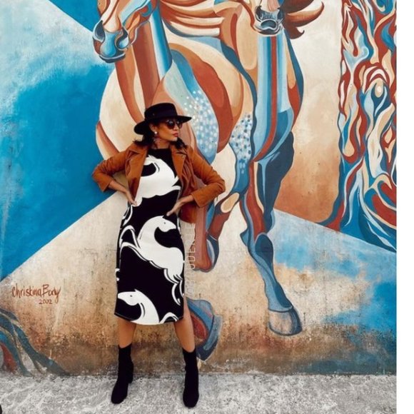 Anthropologie Corey Lynn Calter Caballos Dress - Picture 5 of 6